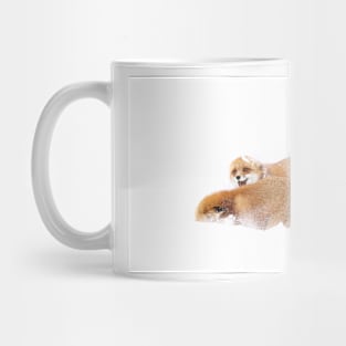 Fox Fight - Algonquin Park Mug